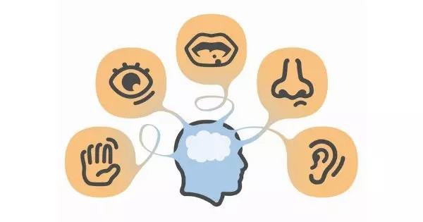 Which of your senses is the most sensitive?