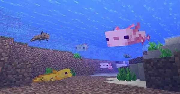 What is your favorite Minecraft mob?