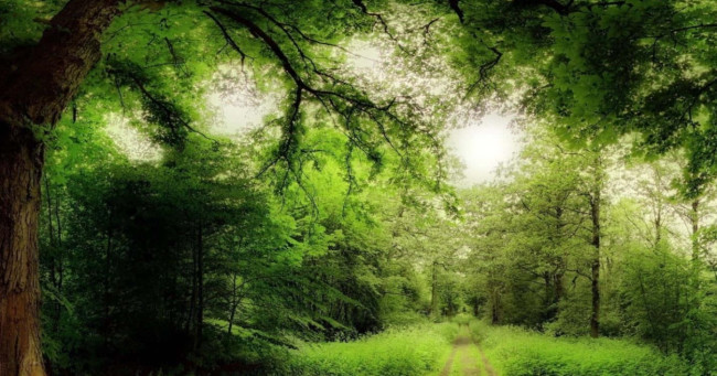 What’s your ideal hangout spot in Zepeto?