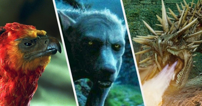 Which magical beast from Harry Potter would you choose as your pet?