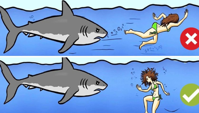 Can You Survive The Wild Animal Attacks?